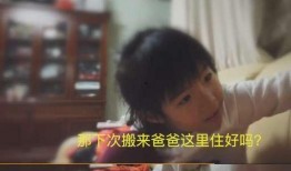 美王妈妈爆料视频大全集,揭秘幕后真相与感人瞬间