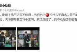 娱乐圈700多页爆料文,揭秘明星幕后真相与恩怨情仇