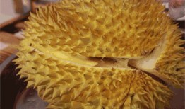 榴莲千层视频爆料,揭秘网红美食背后的制作奥秘